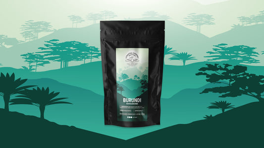 Kavugangoma: A Unique Single Origin Coffee from the Muyinga Province of Burundi