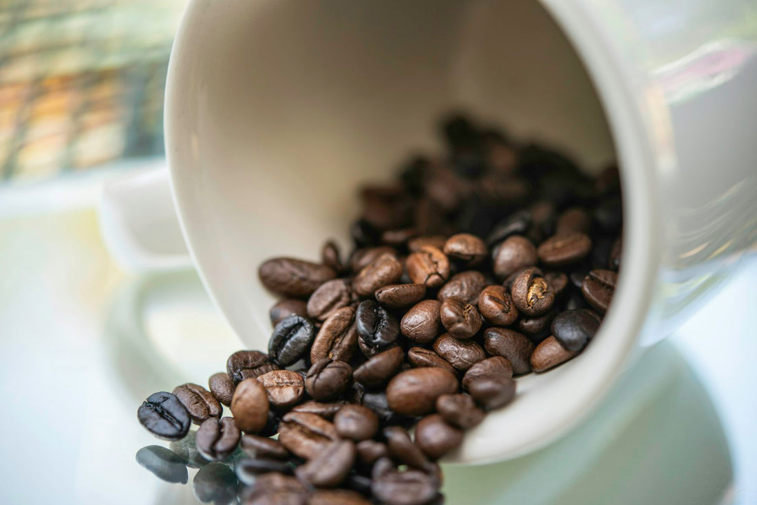 Guide to Coffee Roasts: Light, Medium, and Dark